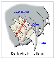 Declawing