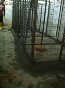 New kennels 2 2nd chance animal society