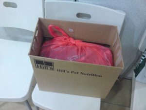 dog in plastic bag - 2nd chance
